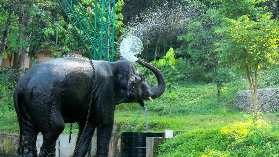 Villa Swasthi Griha à Aranmula Extérieur photo